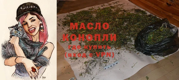соль ск Бородино