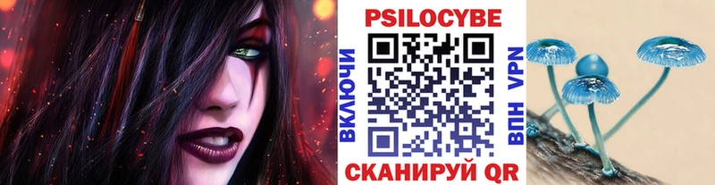 Купить где  Рыльск  Галлюциногенные грибы прущие грибы 